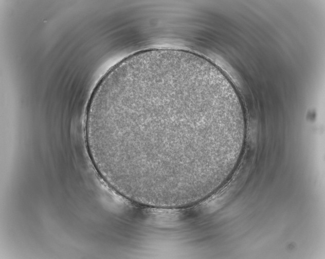 X0000093620856200710291225