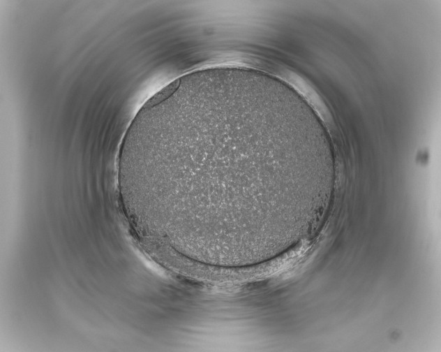 X0000093620858200710291225