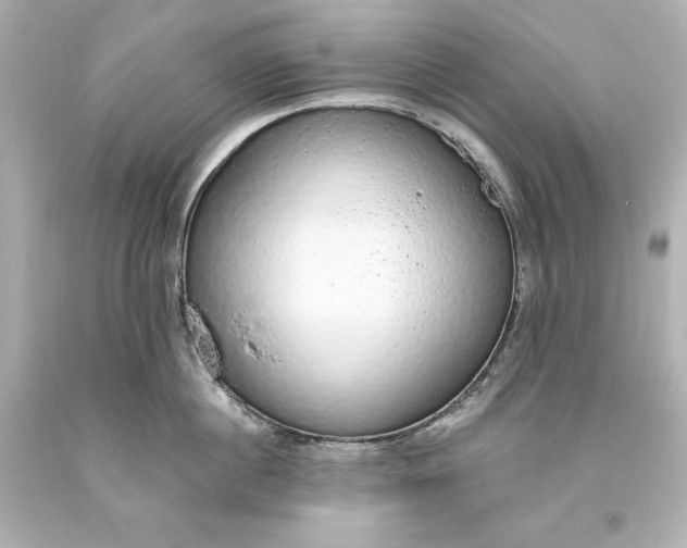 X0000093620860200710291225