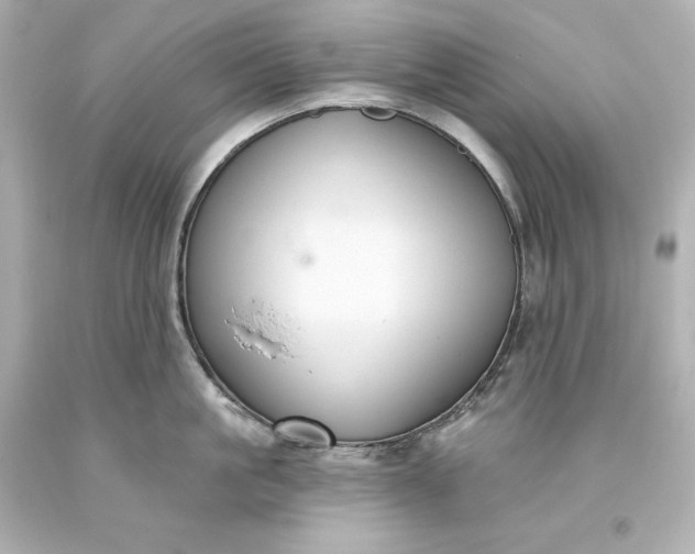 X0000093620861200710291225