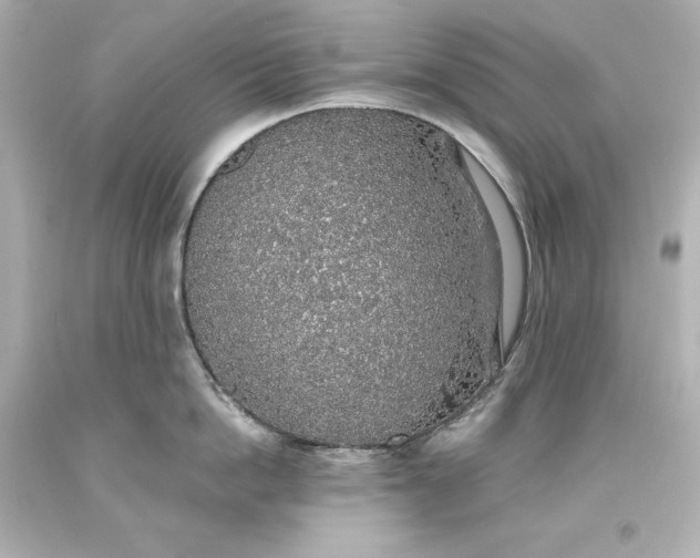 X0000093620862200710291225