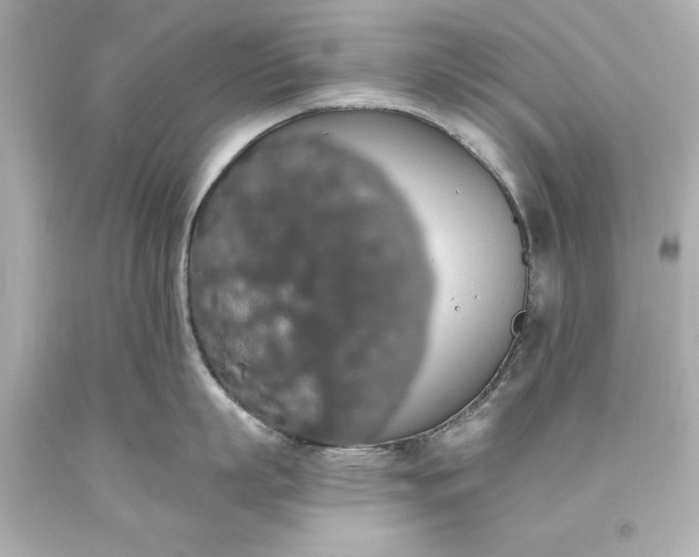 X0000093620863200710291225