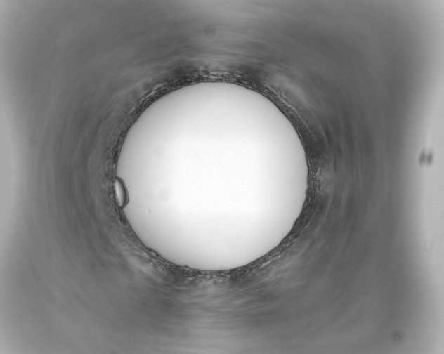 X0000093620865200710291224