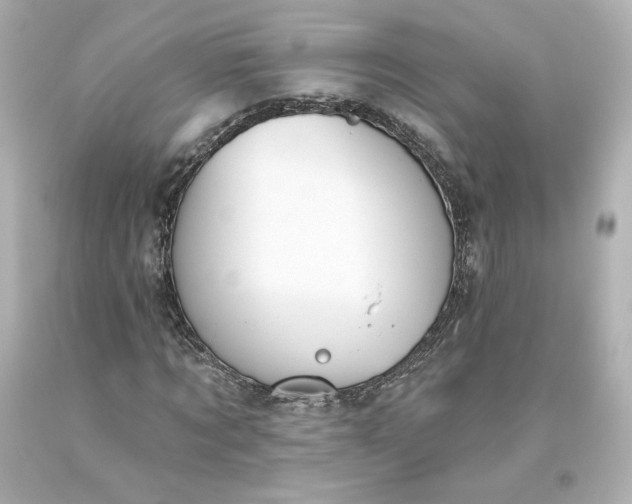 X0000093620869200710291224