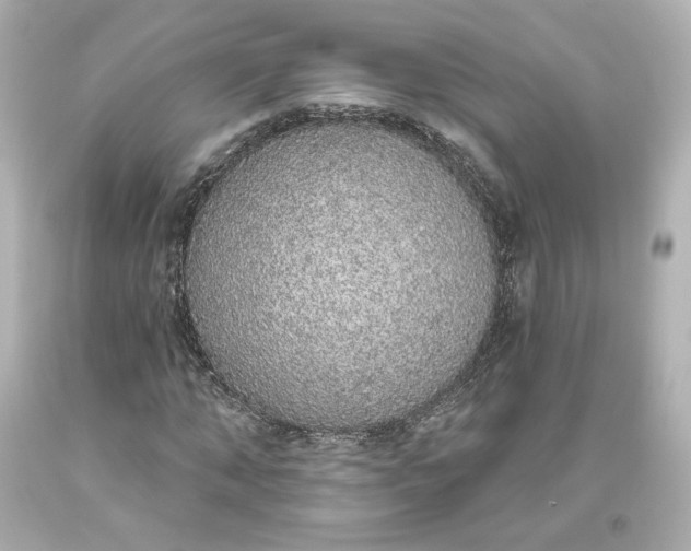 X0000093620870200710291224