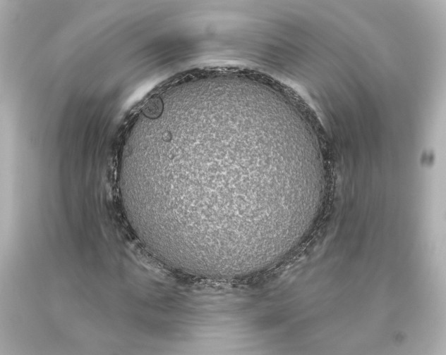 X0000093620871200710291224