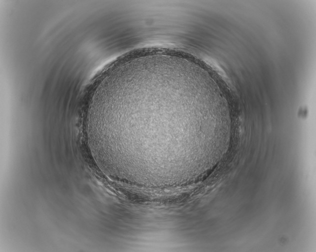 X0000093620872200710291224