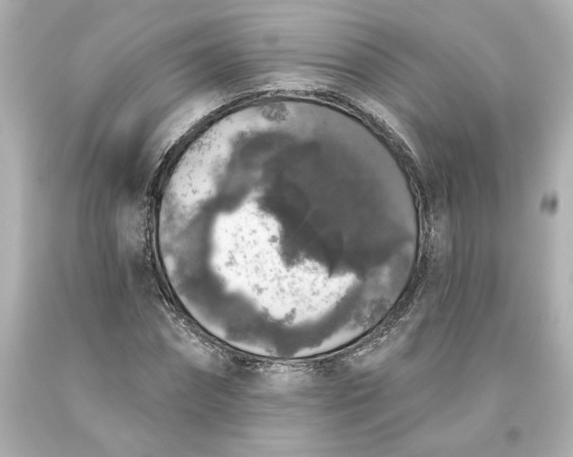 X0000093620874200710291224