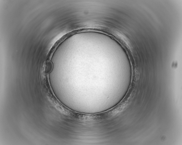 X0000093620875200710291224