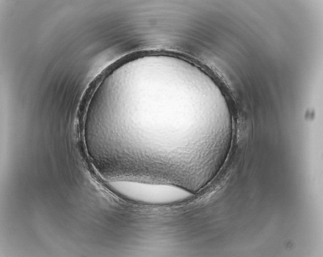 X0000093620876200710291224