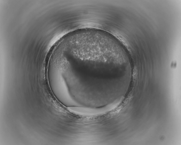 X0000093620877200710291224
