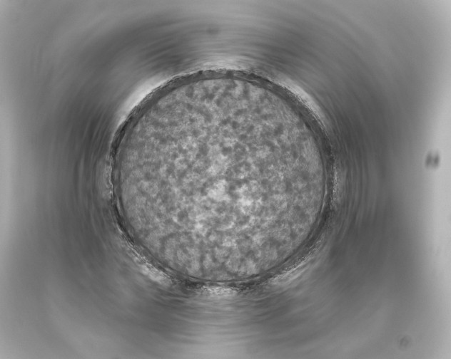 X0000093620878200710291224