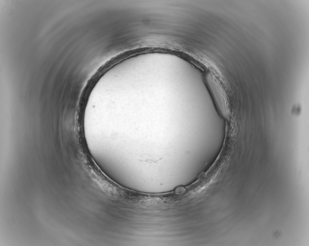 X0000093620880200710291224