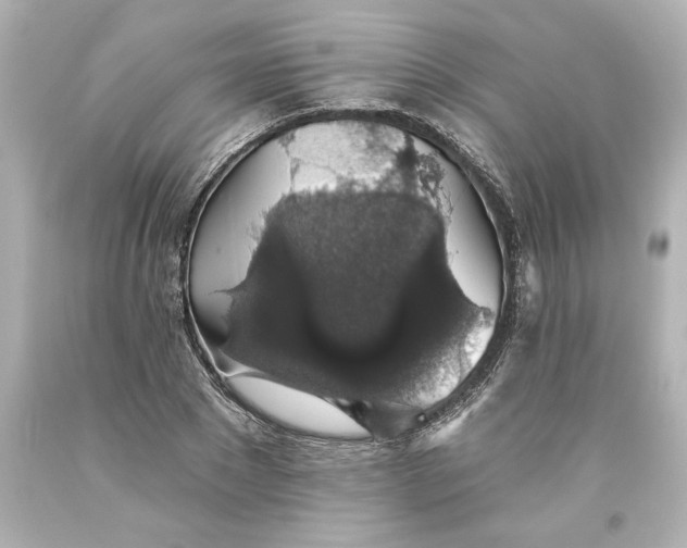 X0000093620881200710291224