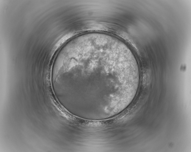 X0000093620882200710291224
