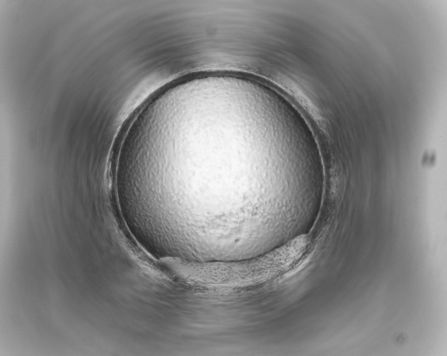X0000093620885200710291224