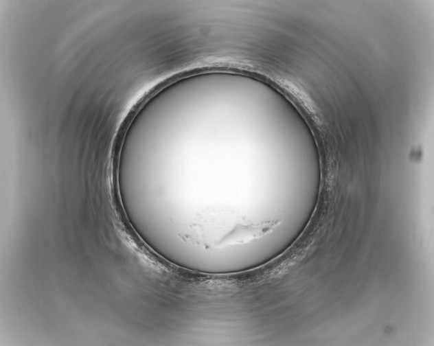 X0000093620888200710291224