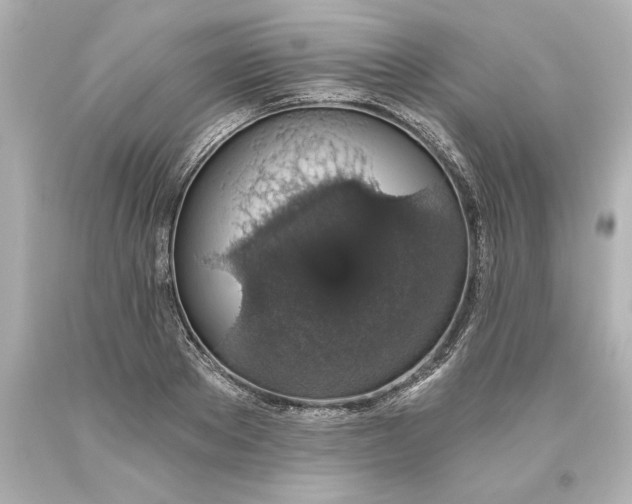X0000093620889200710291224