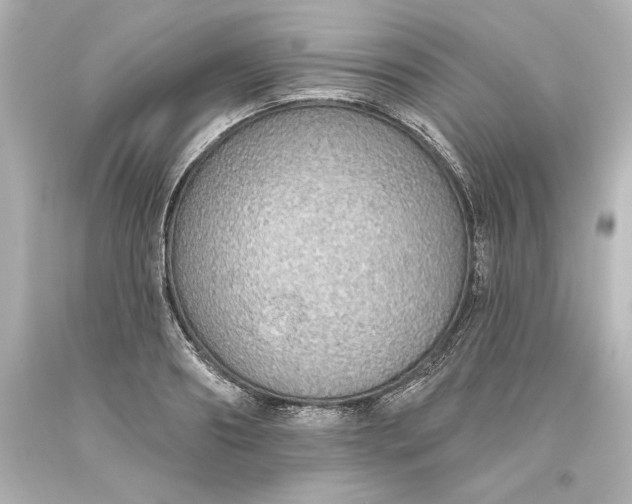 X0000093620890200710291224
