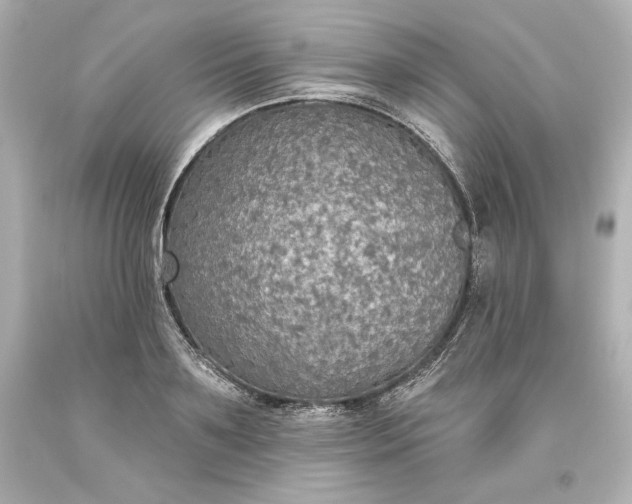 X0000093620891200710291224