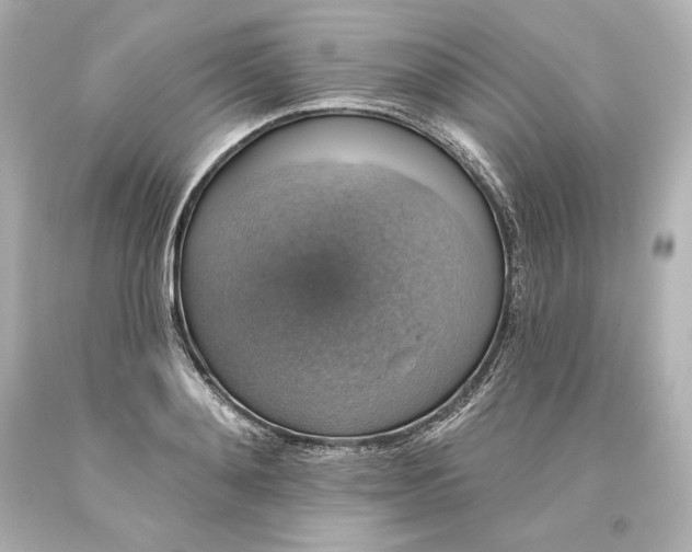 X0000093620892200710291224