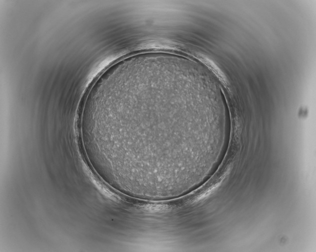 X0000093620893200710291224