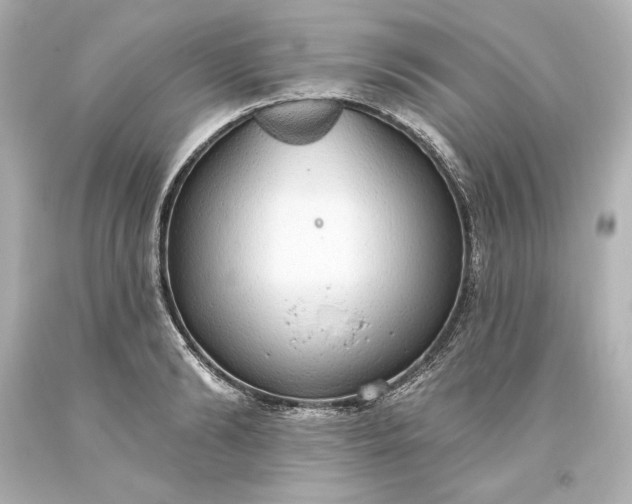X0000093620894200710291224