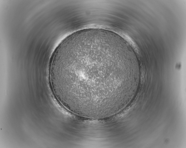 X0000093620896200710291224