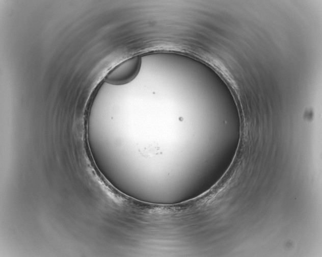 X0000093620898200710291224