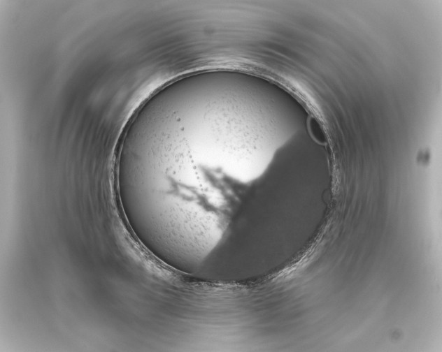 X0000093620899200710291224