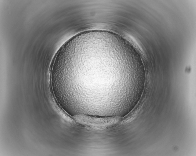 X0000093620900200710291224