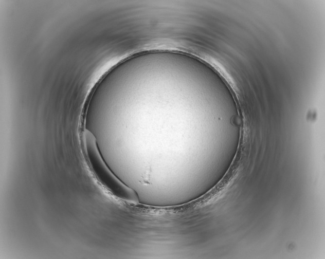 X0000093620901200710291224
