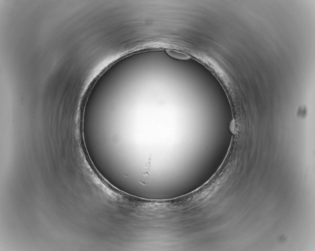 X0000093620902200710291224