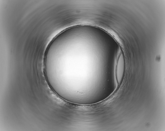 X0000093620904200710291224