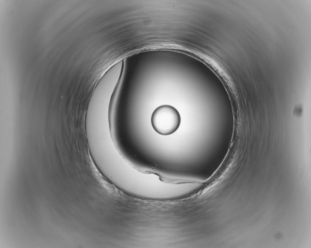 X0000093620905200710291224