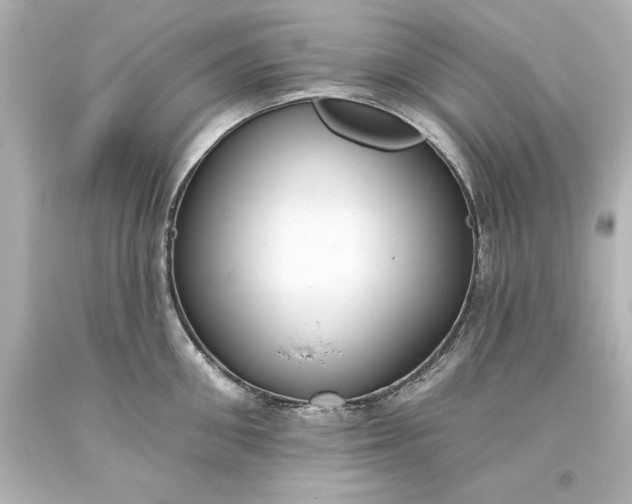 X0000093620906200710291223