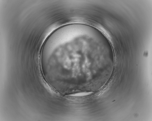 X0000093620907200710291223