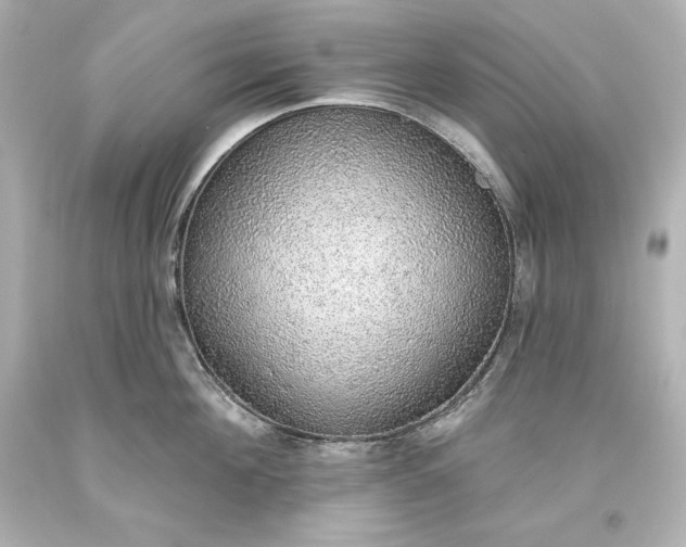 X0000093620908200710291223