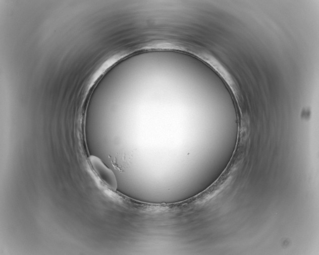 X0000093620909200710291223