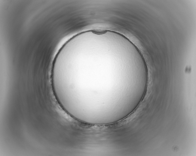 X0000093620912200710291223