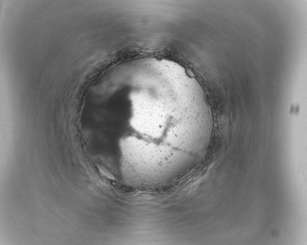 X0000093620913200710291223