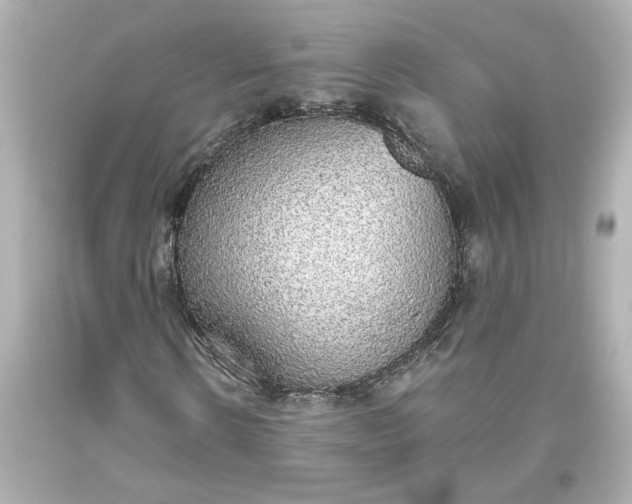X0000093620914200710291223