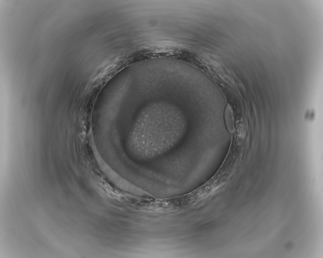 X0000093620916200710291223