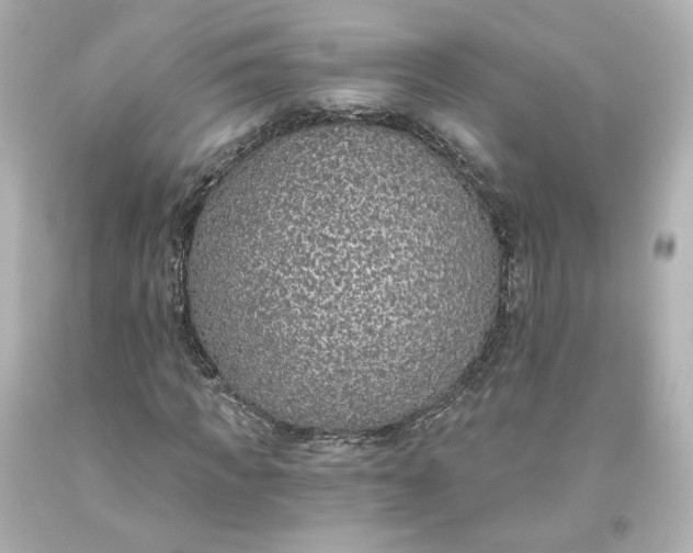 X0000093620917200710291223