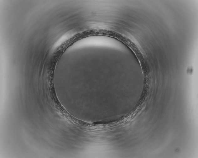 X0000093620919200710291223