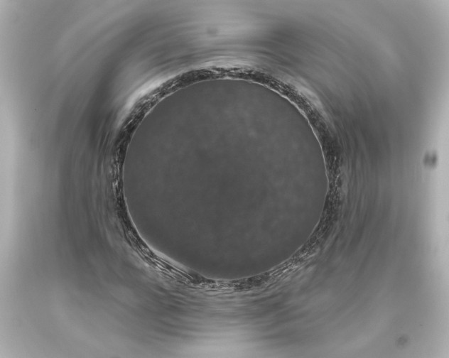 X0000093620920200710291223