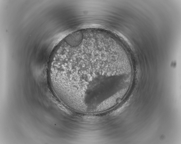 X0000093620921200710291223