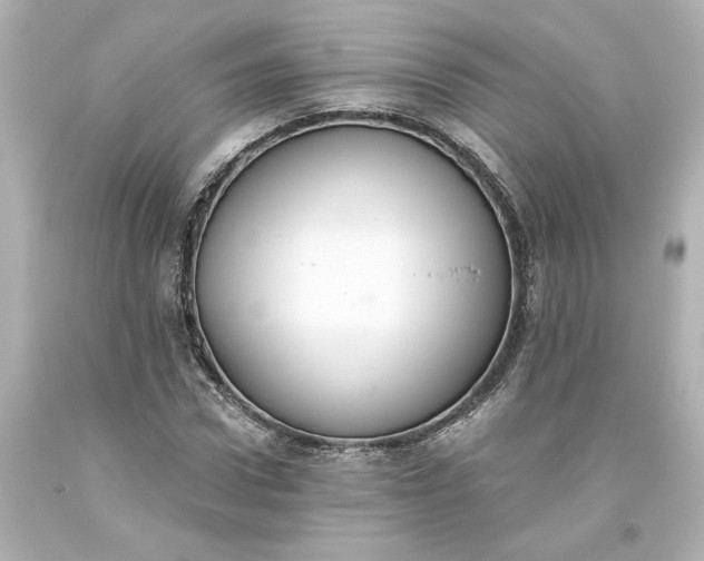 X0000093620922200710291223