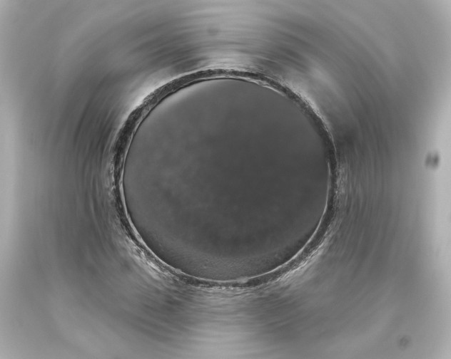 X0000093620923200710291223