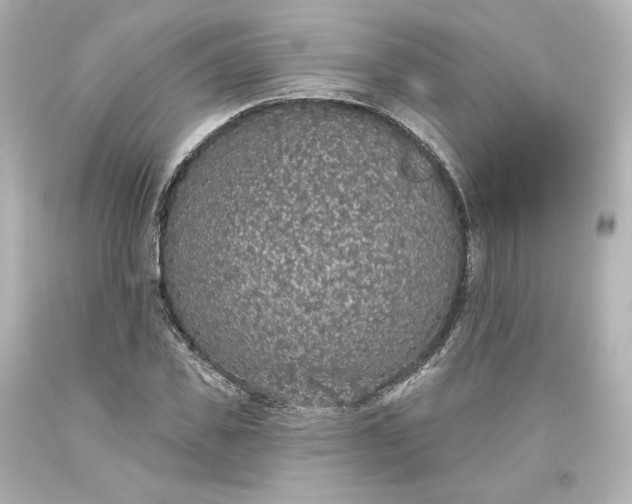 X0000093620925200710291223